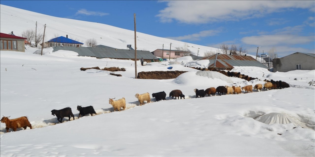 Muş'ta Metrelerce Karın Bulunduğu Köylerde Yaşayanlar Baharı Bekliyor