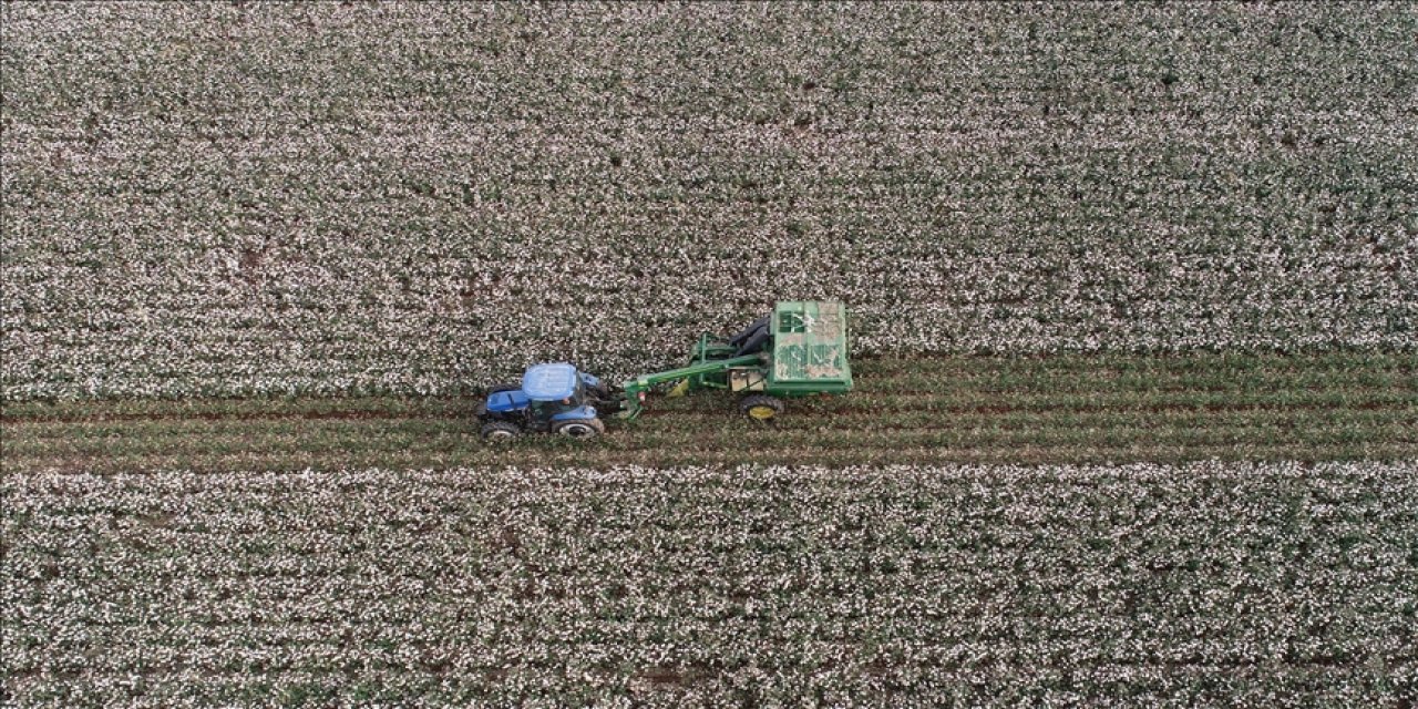 Hürmüz Boğazı'ndaki Aksamalar Dünya Genelinde Çiftçileri Zora Sokuyor