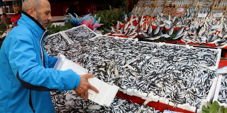 Sezon Başına Göre Hamsinin Fiyatı 3 Kat Ucuzladı