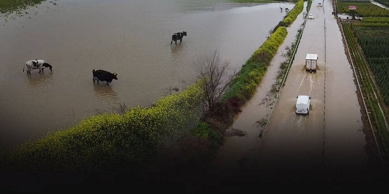 İzmir'de Sağanak Nedeniyle Bazı Tarım Arazileri Ve Meyve Bahçeleri Su Altında Kaldı