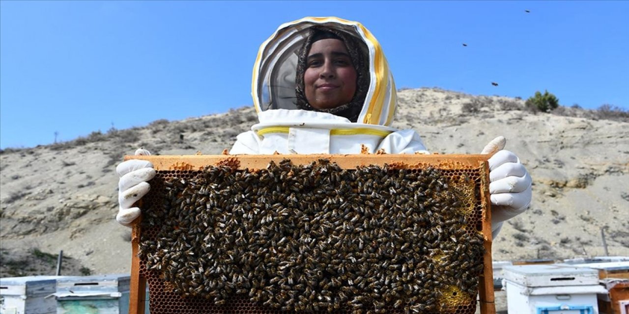 Bilecikli Kadın Arıcı 3 İlde 4 Çeşit Bal Üretiyor