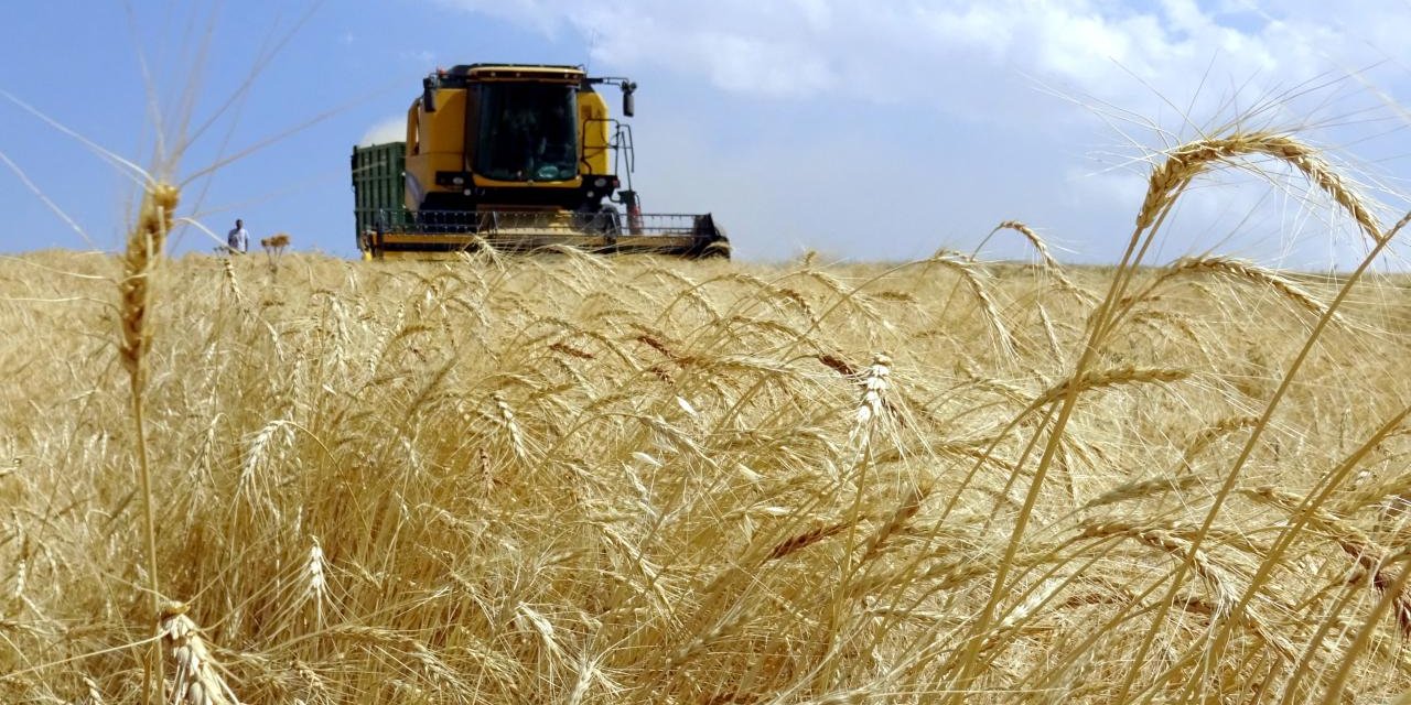 Çaycuma'da Dev Tarım Yatırımı: 1000 Kişilik İstihdam