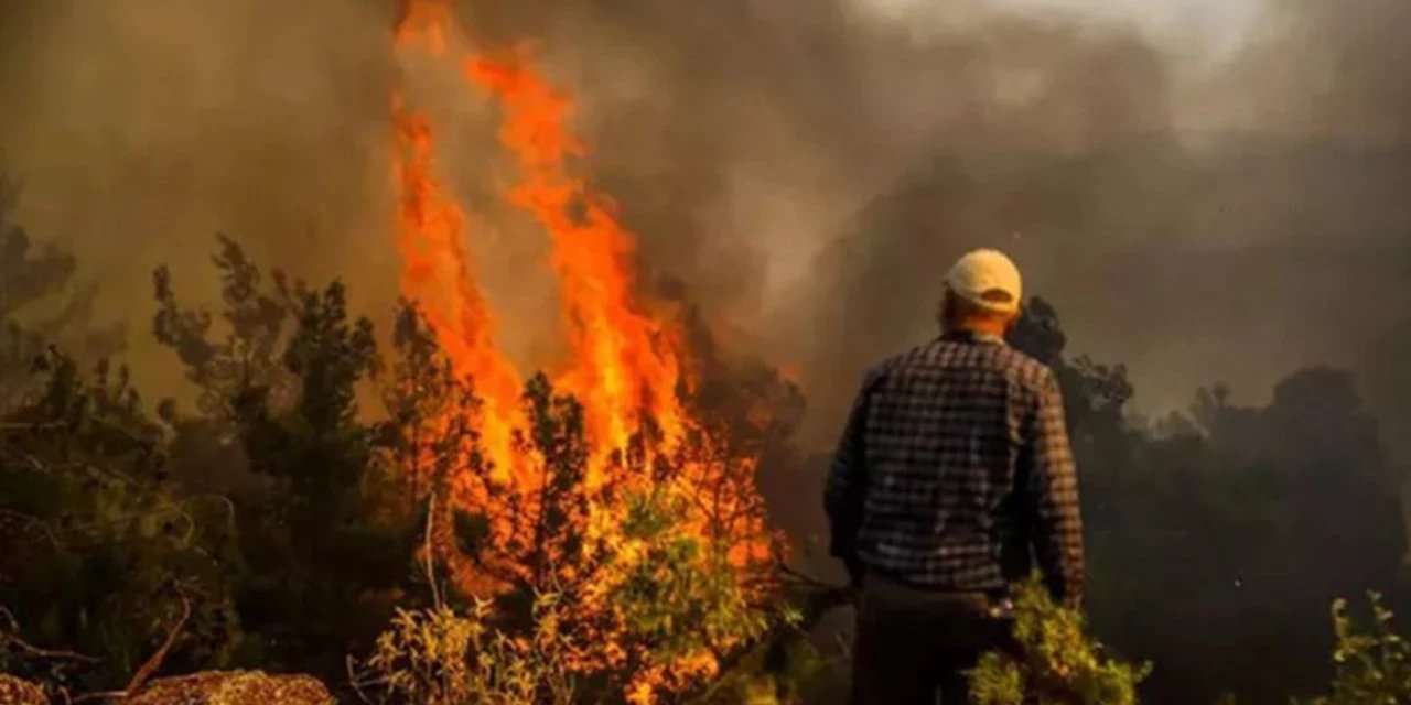 Türkiye'de 2025'te Orman Yangınlarının Yüzde 88'i İhmal Ve Dikkatsizlik Sonucu Çıktı
