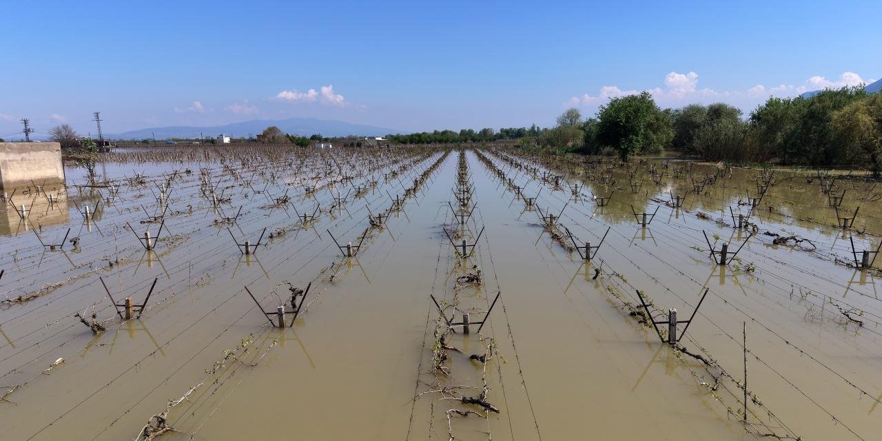 Manisa'da Bağlar Su Altında Kaldı