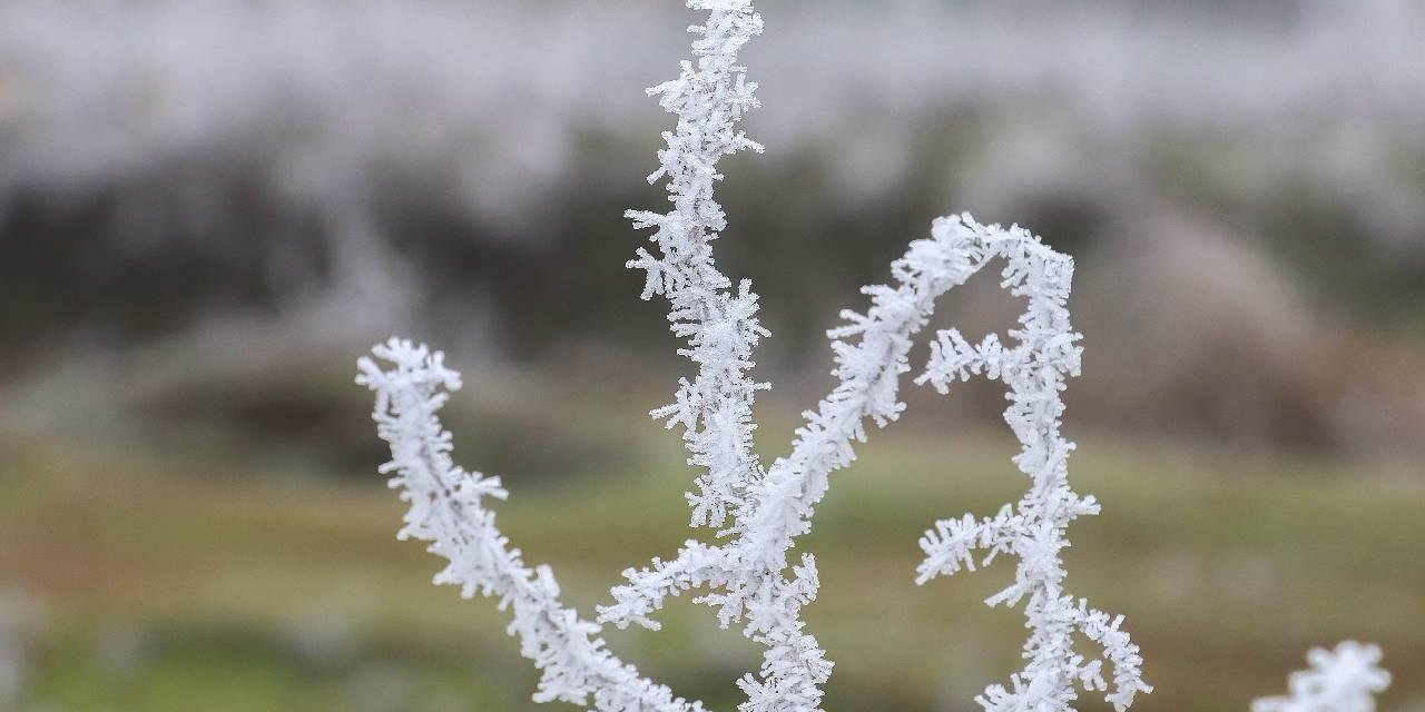 Zirai Don ve Yağış Bekleniyor: 44 İl İçin "Sarı" Uyarı