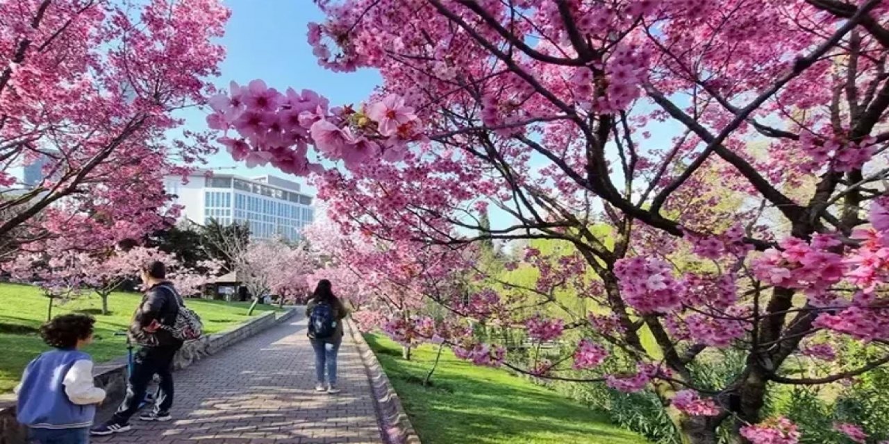 Soğuk Hava Yerini Bahar Sıcaklarına Bırakacak