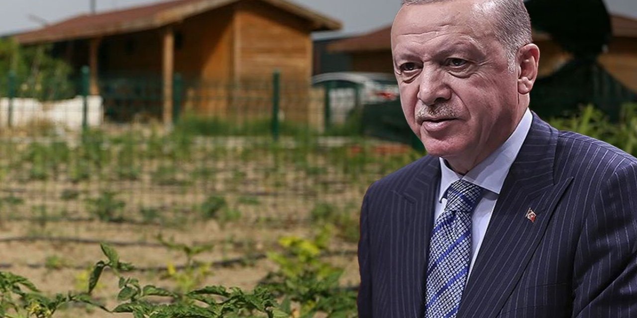 Hobi Bahçeleri Ne Olacak? İşte Erdoğan'ın Tartışmalı Düzenleme İçin Verdiği Talimat