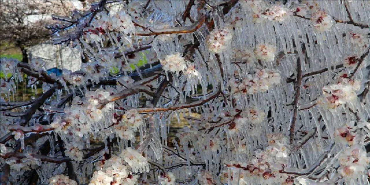 Ankara Valiliğinden Zirai Don Uyarısı!