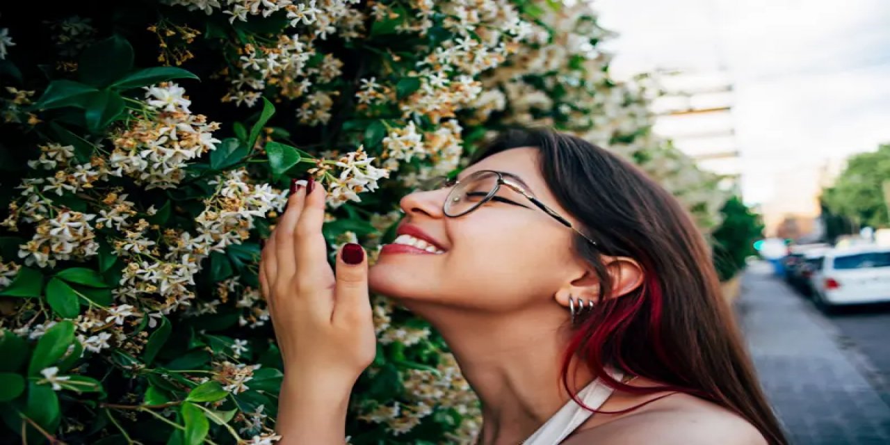 Koku Kirliliği Sağlığı Nasıl Etkiliyor?