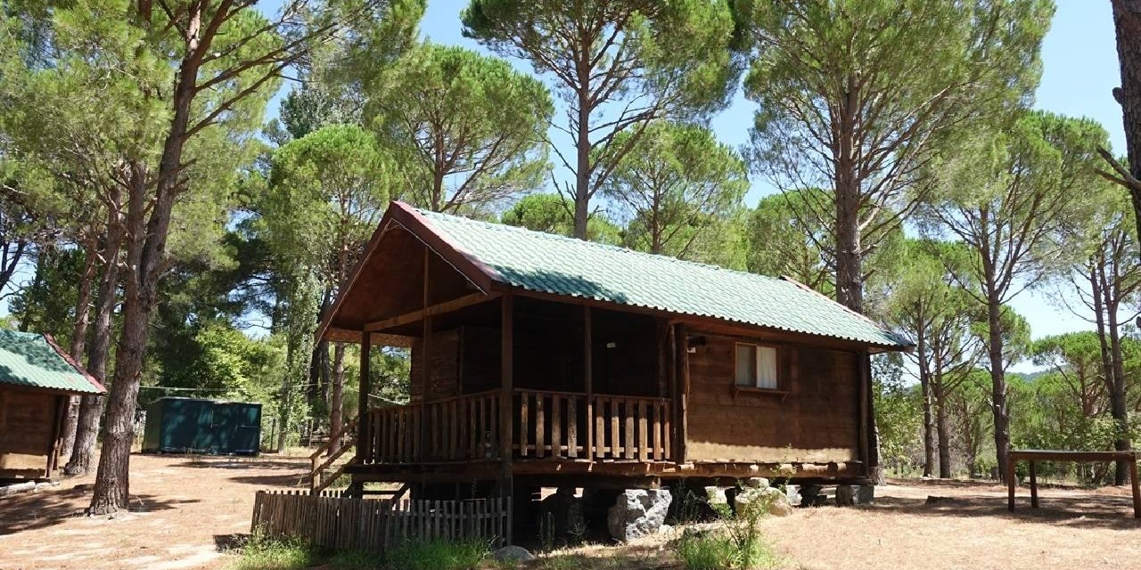 210 Milyon Dolandıran Bungalov Çetesine Operasyon: 9 Tutuklama