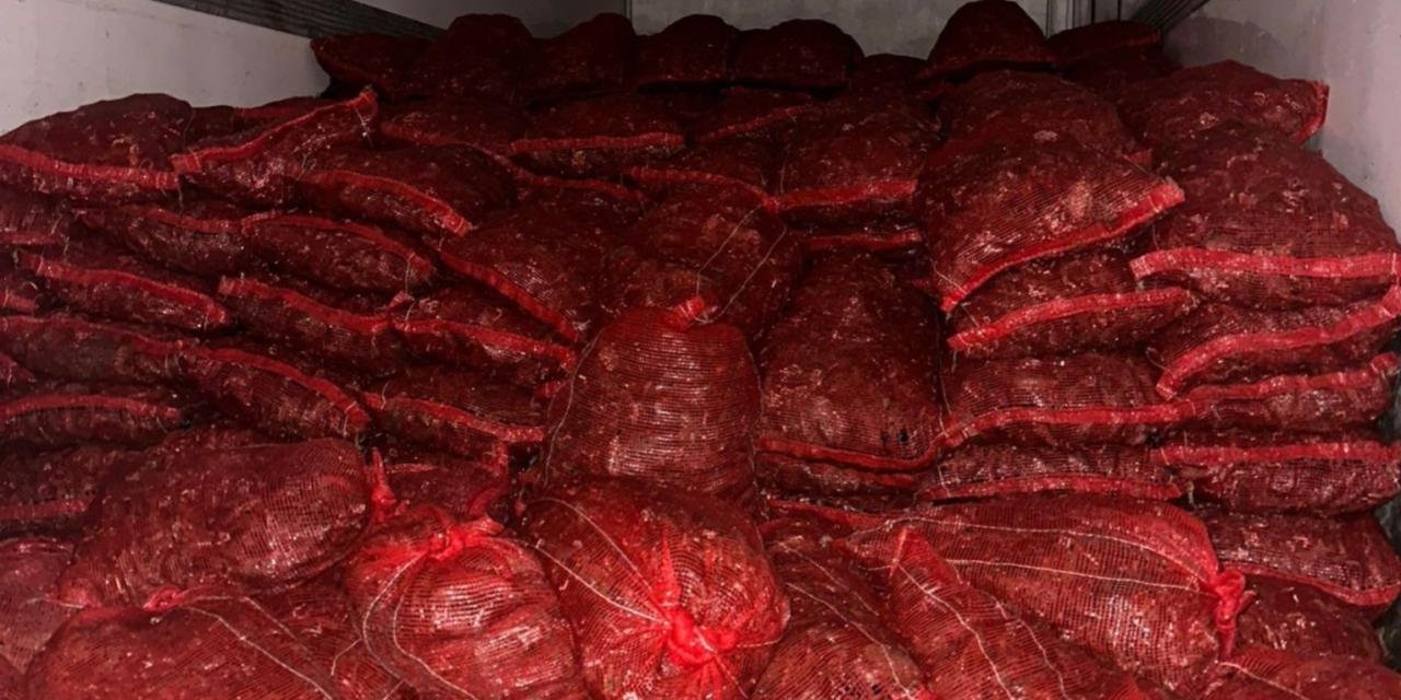 Bursa ve Balıkesir'de 10 Ton Kaçak Midye Ele Geçirildi