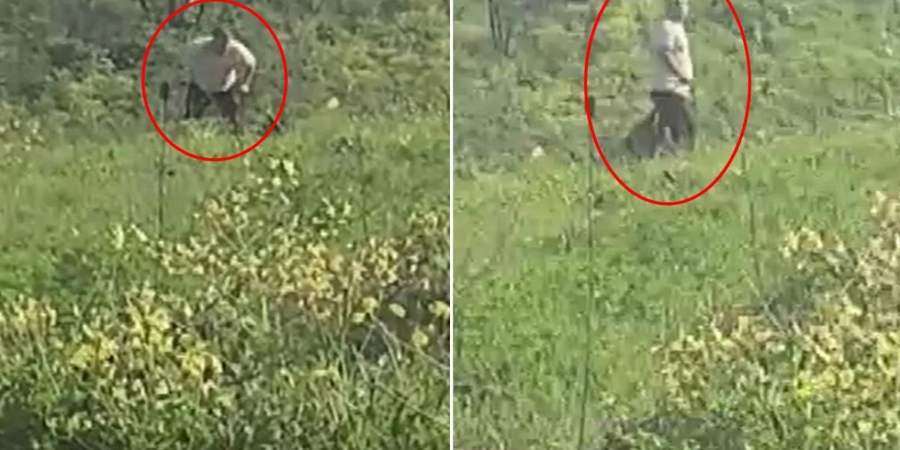 Avcılar'da Köpeğe Kemerle Şiddet Uygulayan Şüpheli Aranıyor