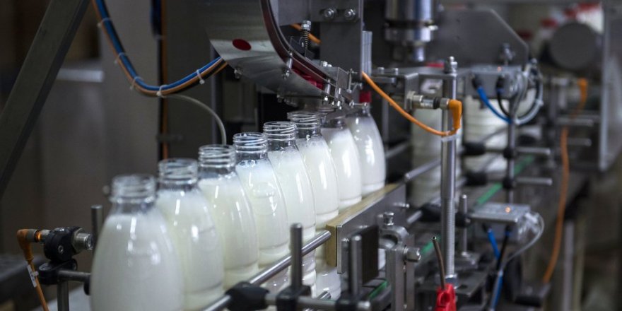 Süt üreticilerine ödenen prim 25 kuruştan 10 kuruşa düşürüldü