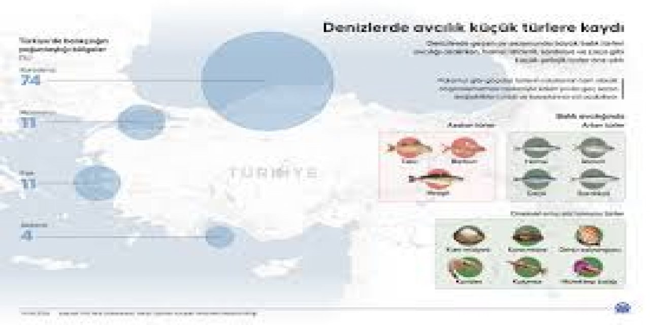 Denizlerde Avcılık Küçük Türlere Kaydı