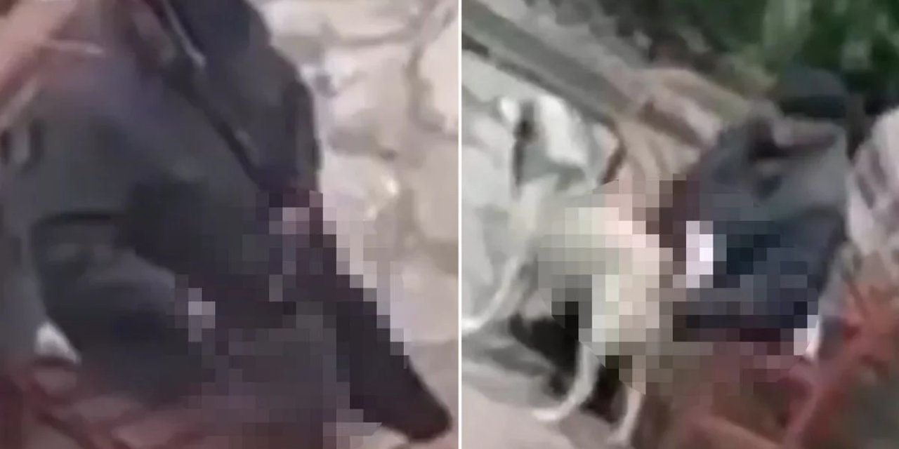 Skandal Görüntü! Parktaki Sokak Hayvanlarını İstismar Etti