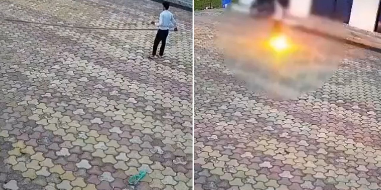 Maymunu Kovmaya Çalışırken Canından Oldu