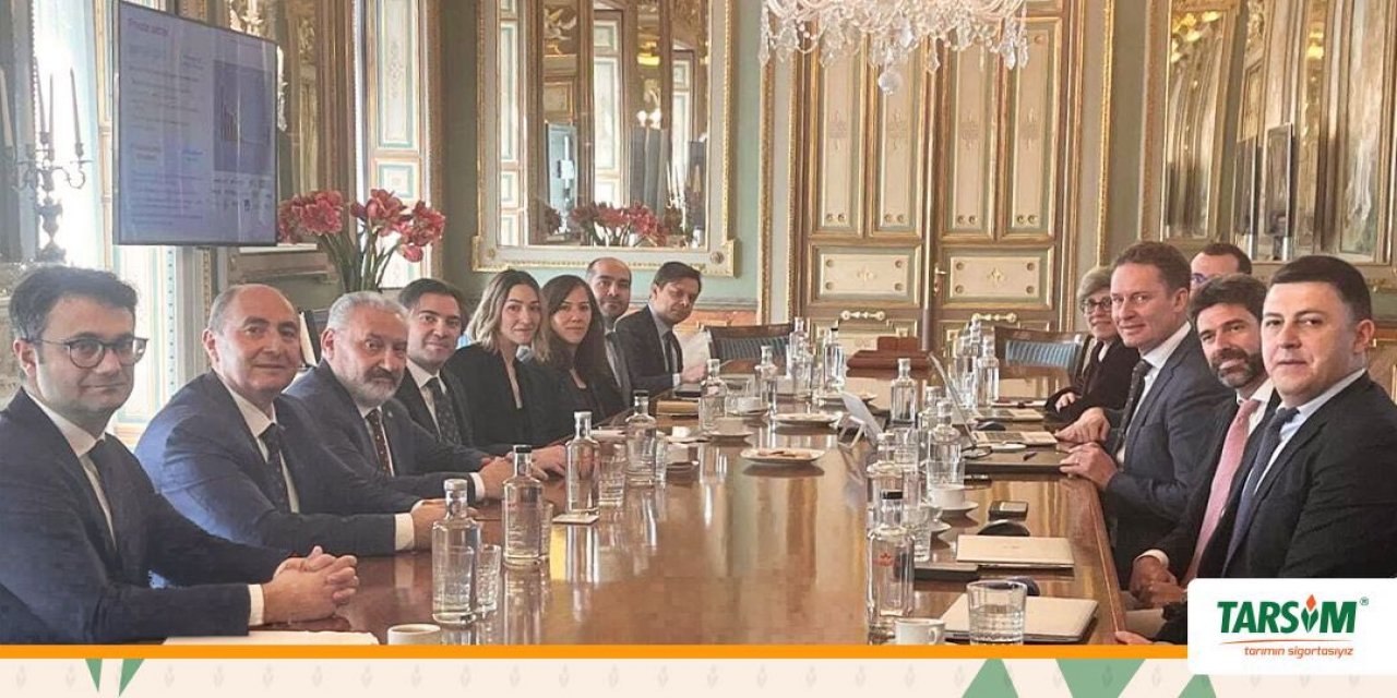 Tarsim Heyetinden İspanya'ya Ziyaret