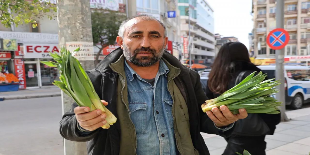 Dağlardan Toplanan Doğal Antibiyotik. Kilosu 100 Liradan Satılıyor
