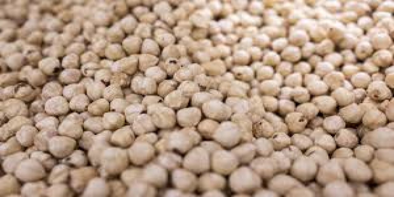 Doğu Karadeniz'den Yılın İlk Çeyreğinde 379 Milyon Dolarlık Fındık İhracatı