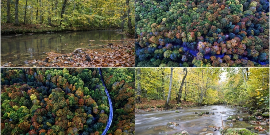 Istranca Ormanlarında Sonbahar Güzelliği