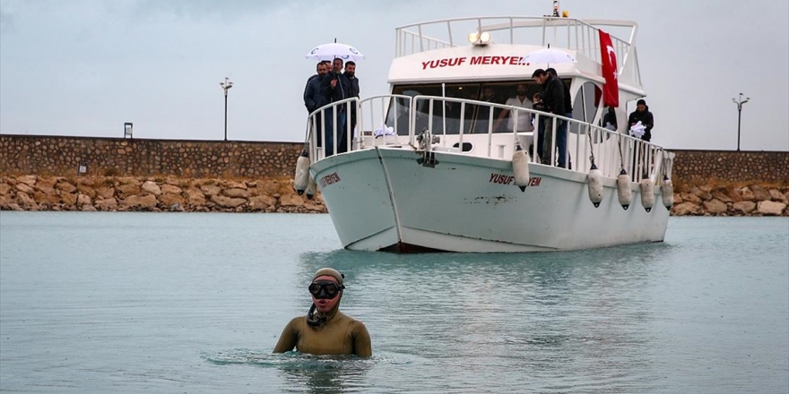 Şahika Ercümen Soğuğa Aldırmadan Van Gölü'ne Daldı