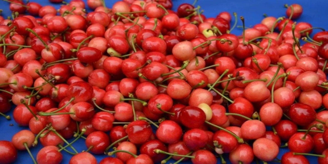 Manisa’da 'Kırmızı Altın' Sezonu Açtı: İlk Kirazın Kilosu 6 Bin Lira