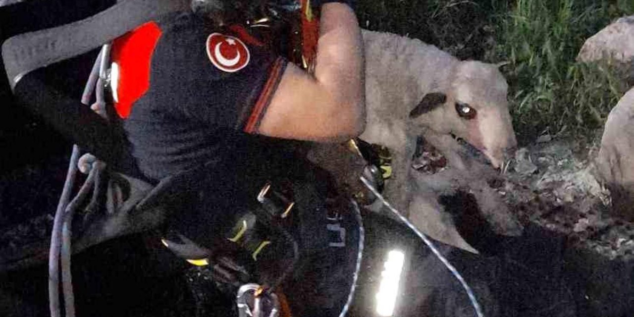 İzmir'de Kuyuya Düşen Kuzuya İtfaiyeden Nefes Kesen Kurtarma