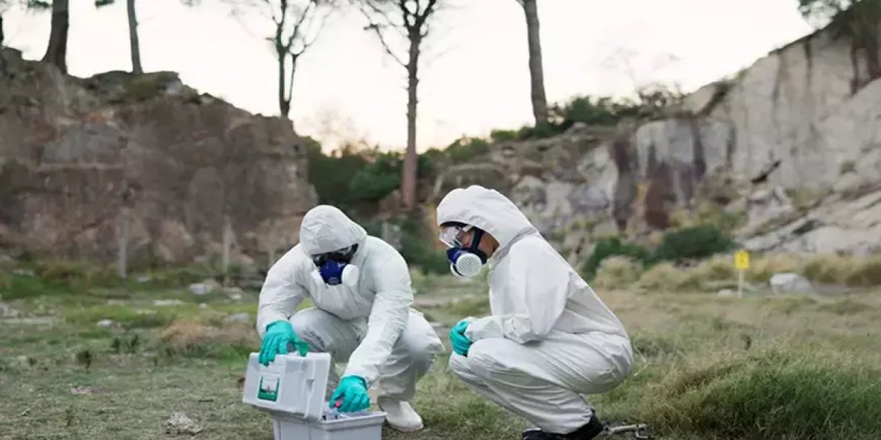 Mezarlıkta 50 Bebek Cesedi Bulundu