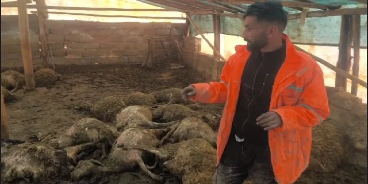 Üreticinin Tüm Birikimi Bir Gecede Yok Oldu