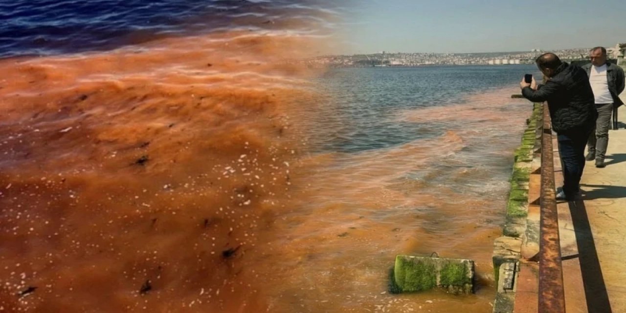 Marmara Denizi Bir Anda Turuncuya Boyandı! Korkutan Manzara Sonrası Uzmanlar Konuştu