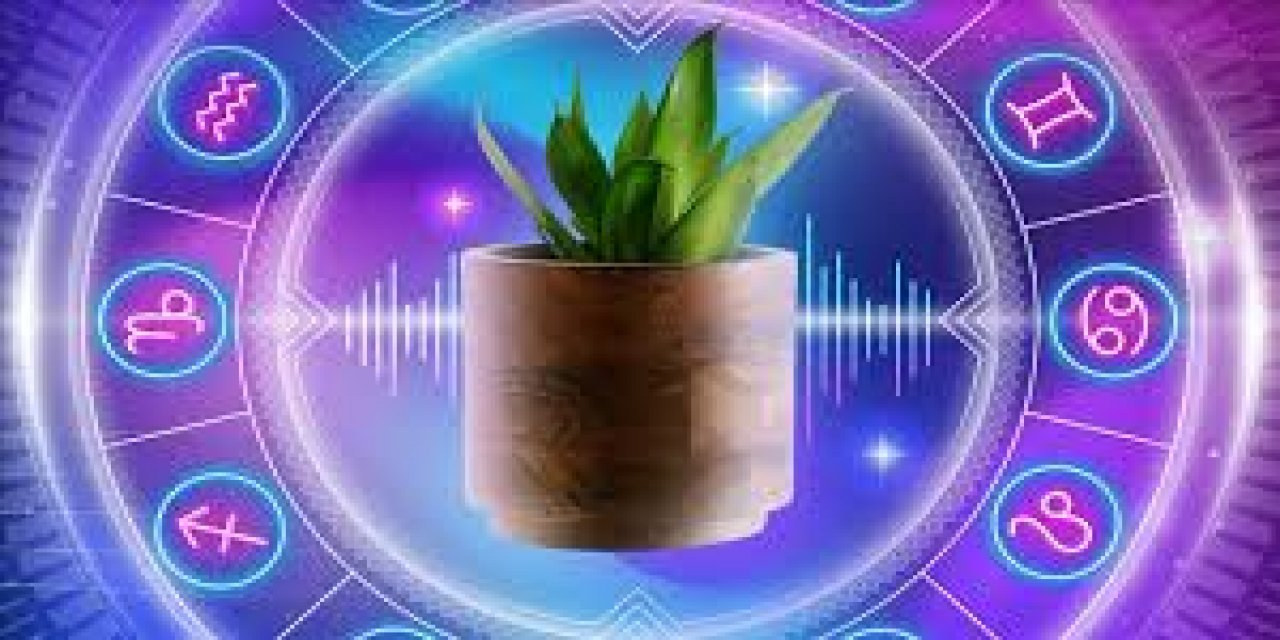 Muud 12 Burç İçin Hazırladığı 12 Özgün Şarkıyı Dinleyicilerle Buluşturdu