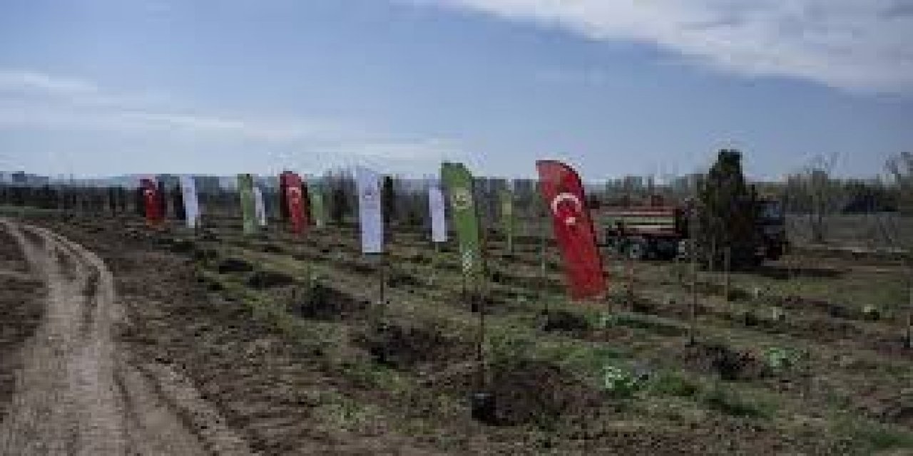 Ayla Öğretmen Ve Öğrencilerinin Adı "ankara 112 Hatıra Ormanı"nda Dikilen Fidanlarda Yaşatılacak