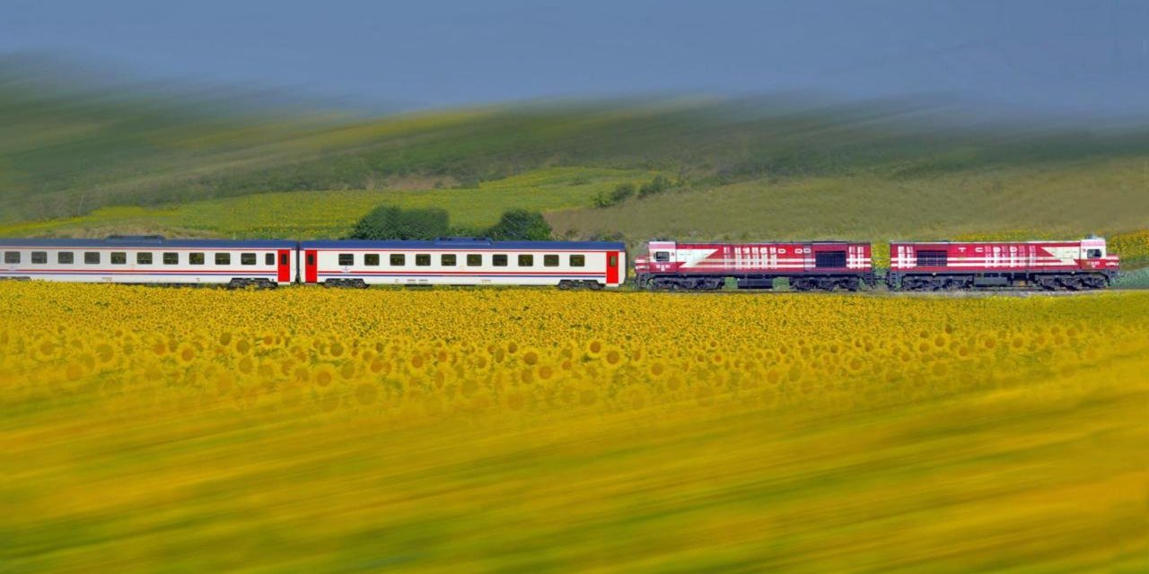 TCDD Otla Mücadele Kapsamında Tren Yollarında İlaçlama Yapacak