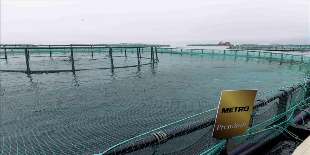 Metro Türkiye, Premium Türk Somonunu Tüketiciyle Buluşturdu
