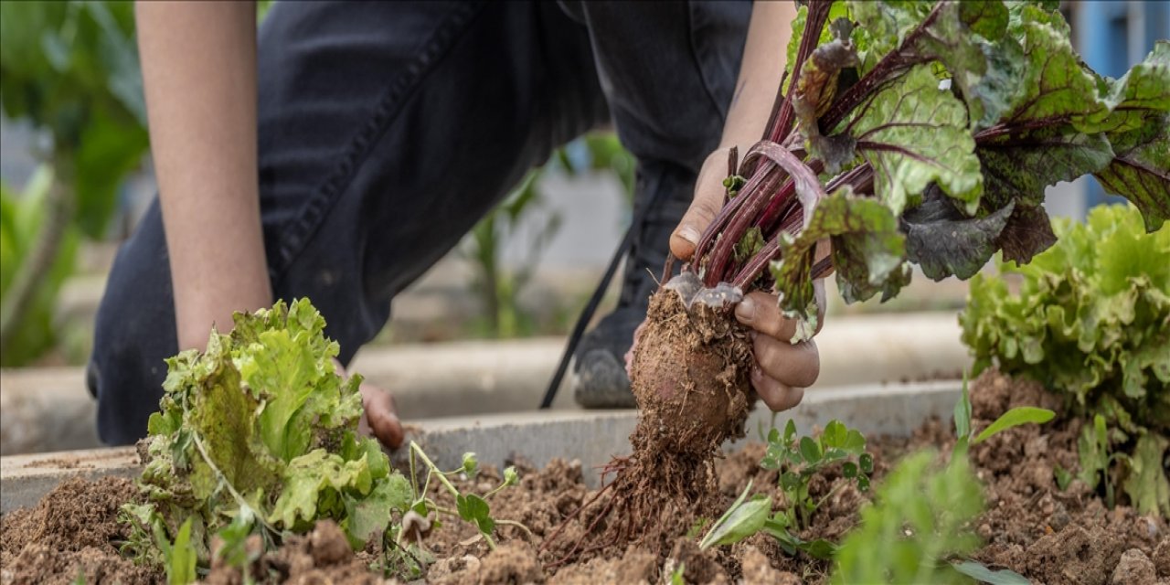 Çocuklar Ekolojik Bahçede Toprağa Dokunarak Öğreniyor