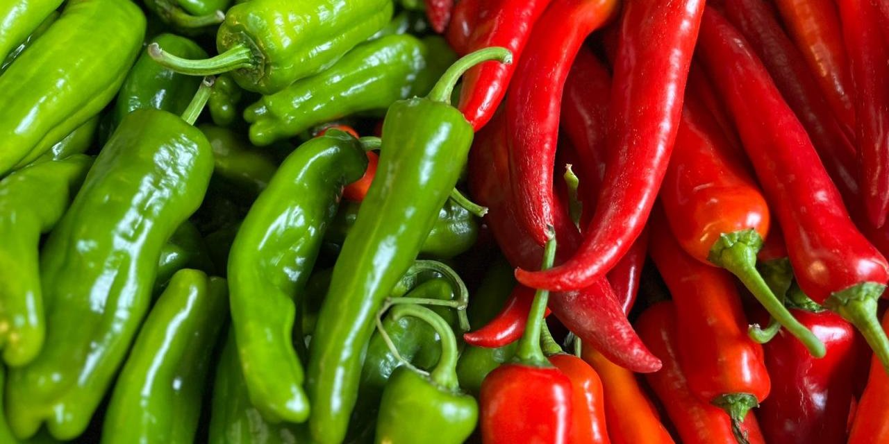 Biber İhracatının Yüzde 74'ü Batı Akdeniz'den