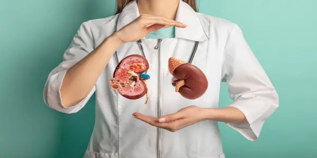 Böbrek Taşı Oluşumunda Belirleyici Faktör Yetersiz Su Tüketimi