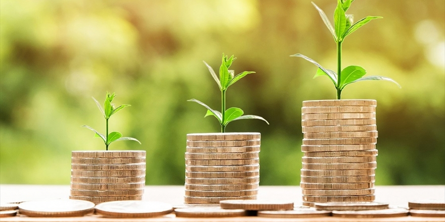 Tasarruflar Gençler Ve Dövizli Bes'le Büyüyecek