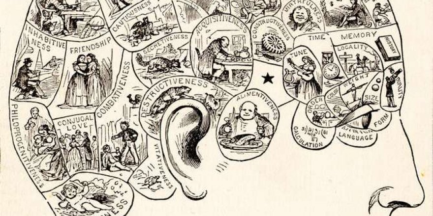 Mehmet Akif Yılmaz yazdı: PSEUDOSCİENCE TEHLİKESİ