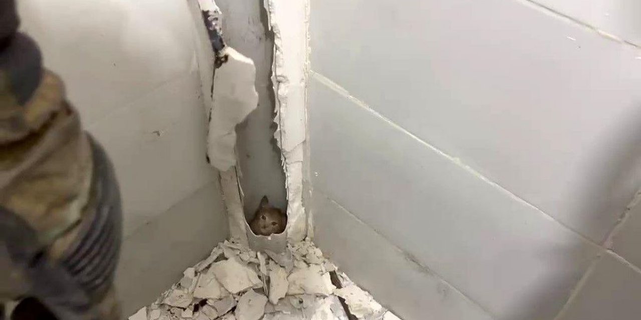 Boruda Mahsur Kalan Kedi Duvar Kırılarak Kurtarıldı