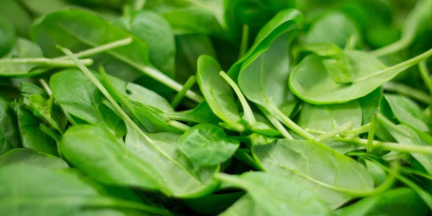 Uzmanlardan 'Küçük Boy Ispanak Alın' Önerisi