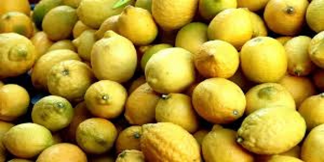 Türkiye Yılın İlk Çeyreğinde En Fazla Mandalinayı Irak'a, Limonu Rusya'ya Sattı