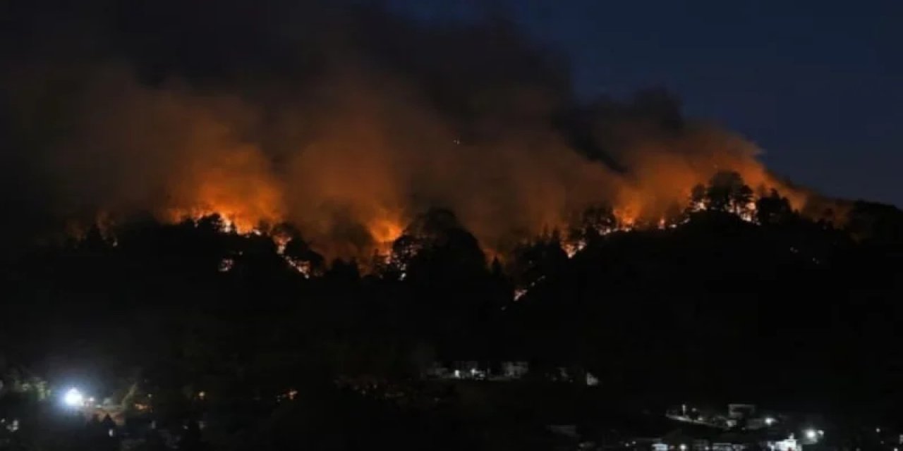 Japonya’da Orman Yangınları Büyüyor: 1000 Hektardan Fazla Alan Kül Oldu