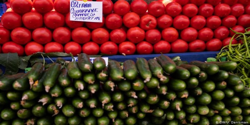 Türkiye'de gıda güvenliğine yabancı ot karıştı