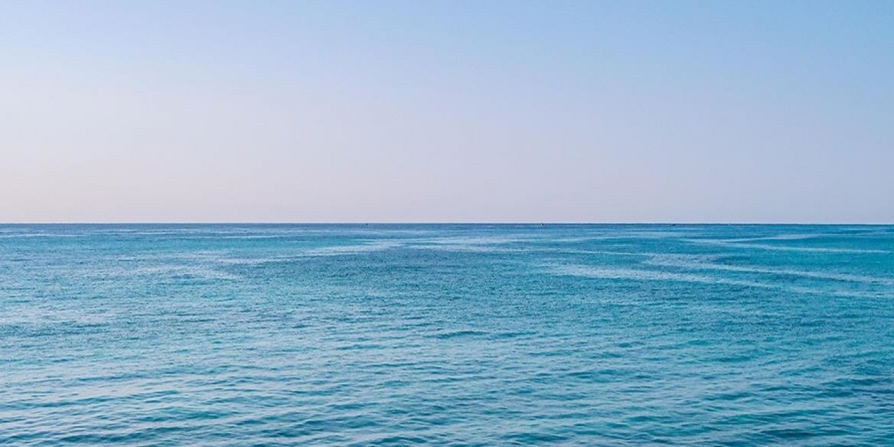 Okyanusların Yüzde 10'undan Fazlası Resmi Olarak Koruma Altına Alındı