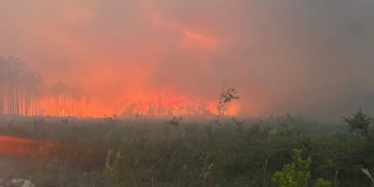 ABD'de Orman Yangını: 120’den Fazla Ev Küle Döndü