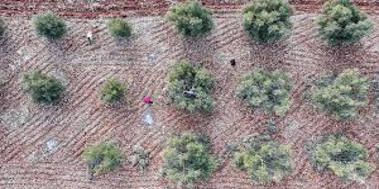 Güneydoğu'daki 9 İlin Üretim Çeşitliliğini Artıracak Yatırımlar Teşviklerle İvme Kazanacak