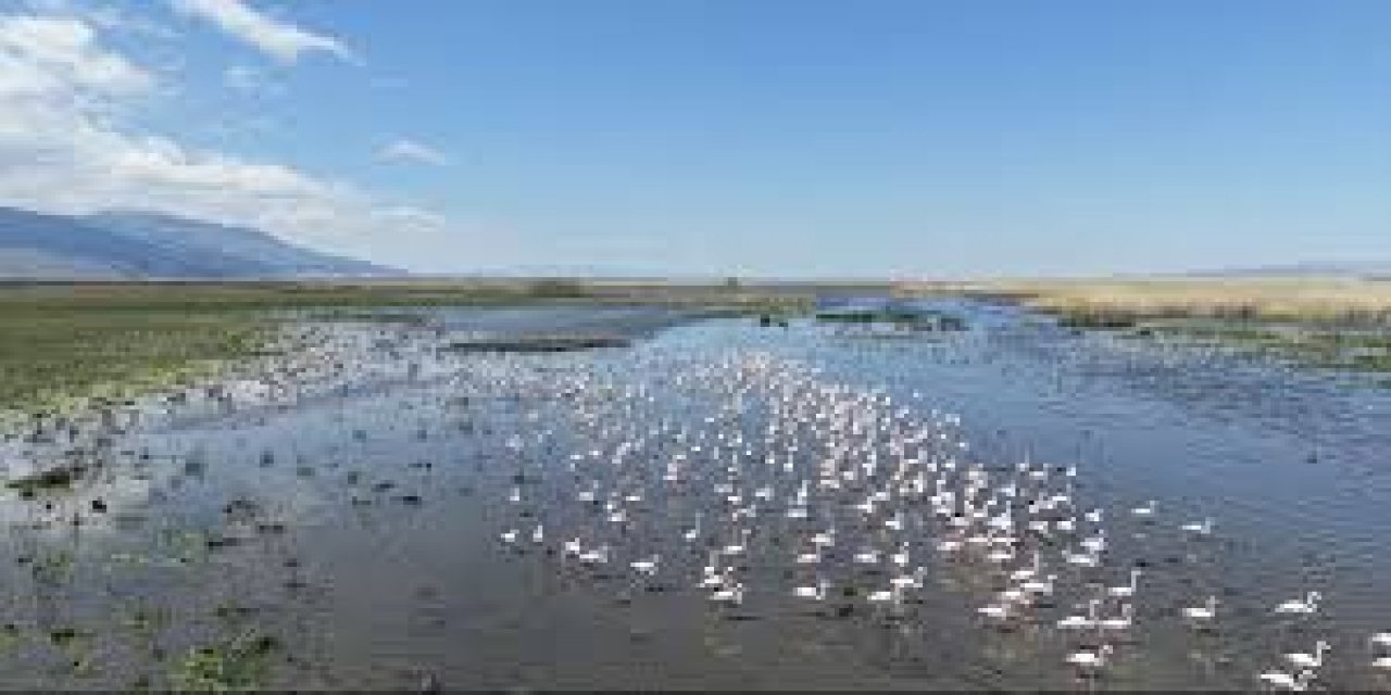 Kuraklık Riski Altındaki Eber Gölü'nün Su Seviyesi Üç Kat Arttı