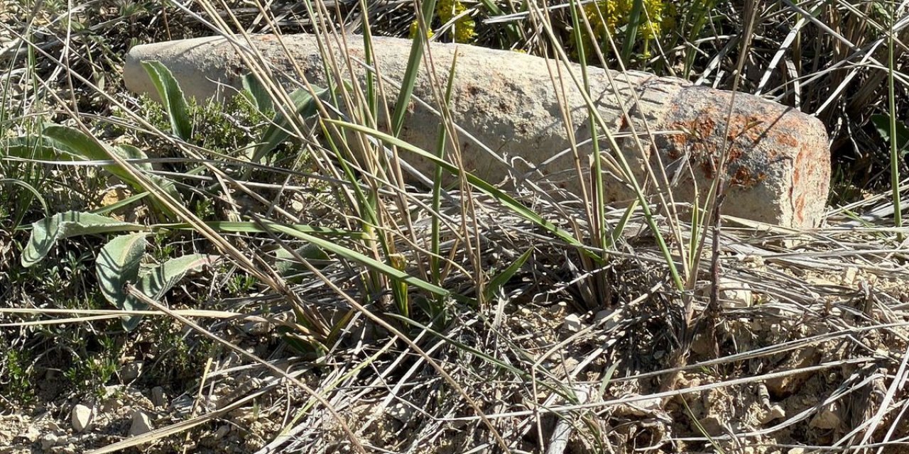 Mantar Ararken Top Mermisi Buldu, 20 Metre Taşıdı