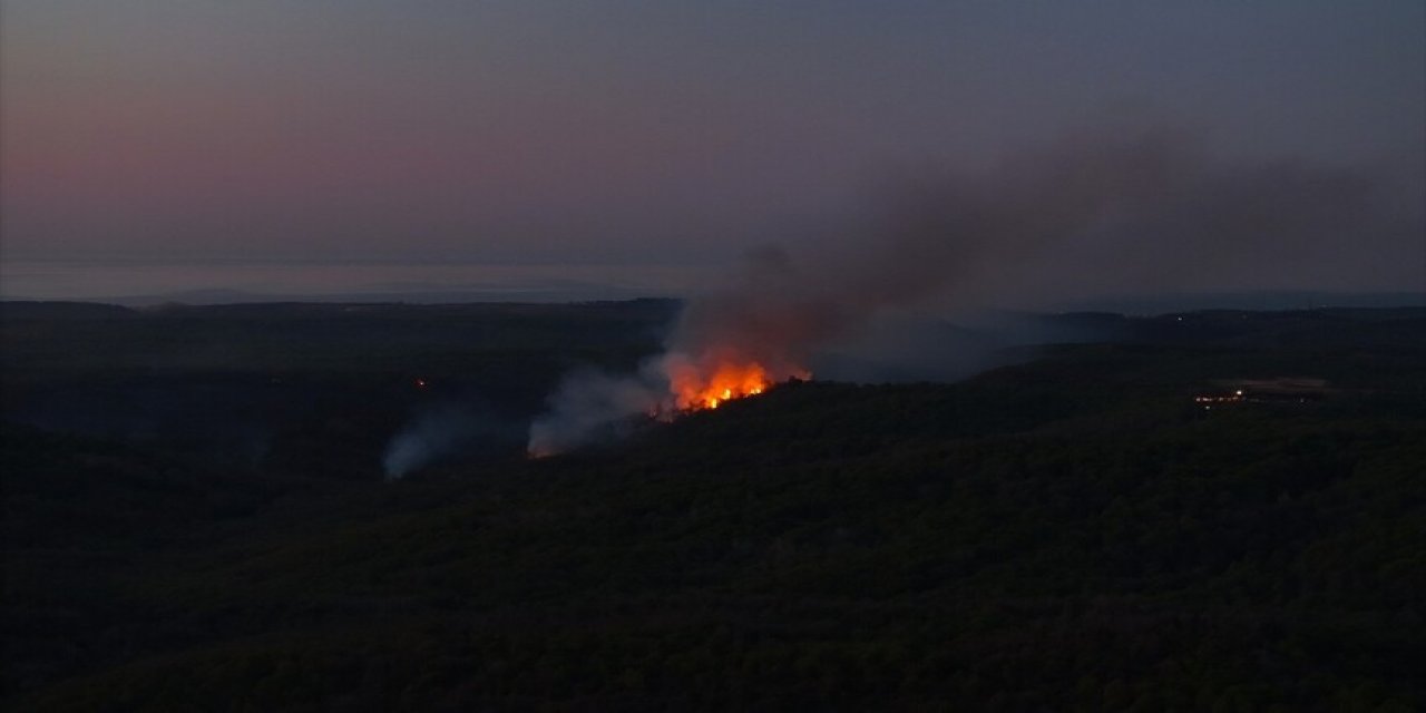 Beykoz'da Ormanlık Alanda Çıkan Yangında Soğutma Çalışmaları Tamamlandı